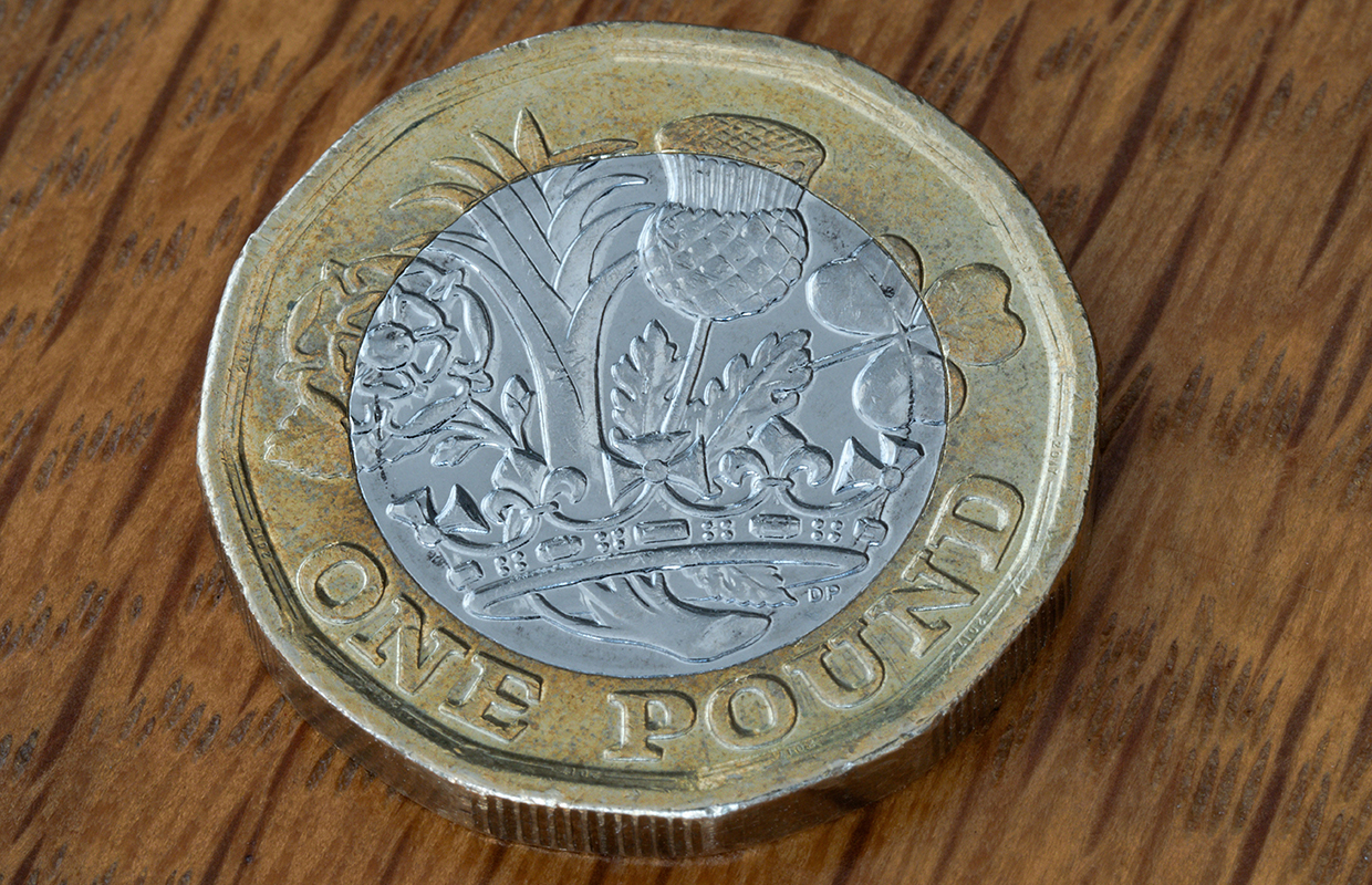 One pound coin