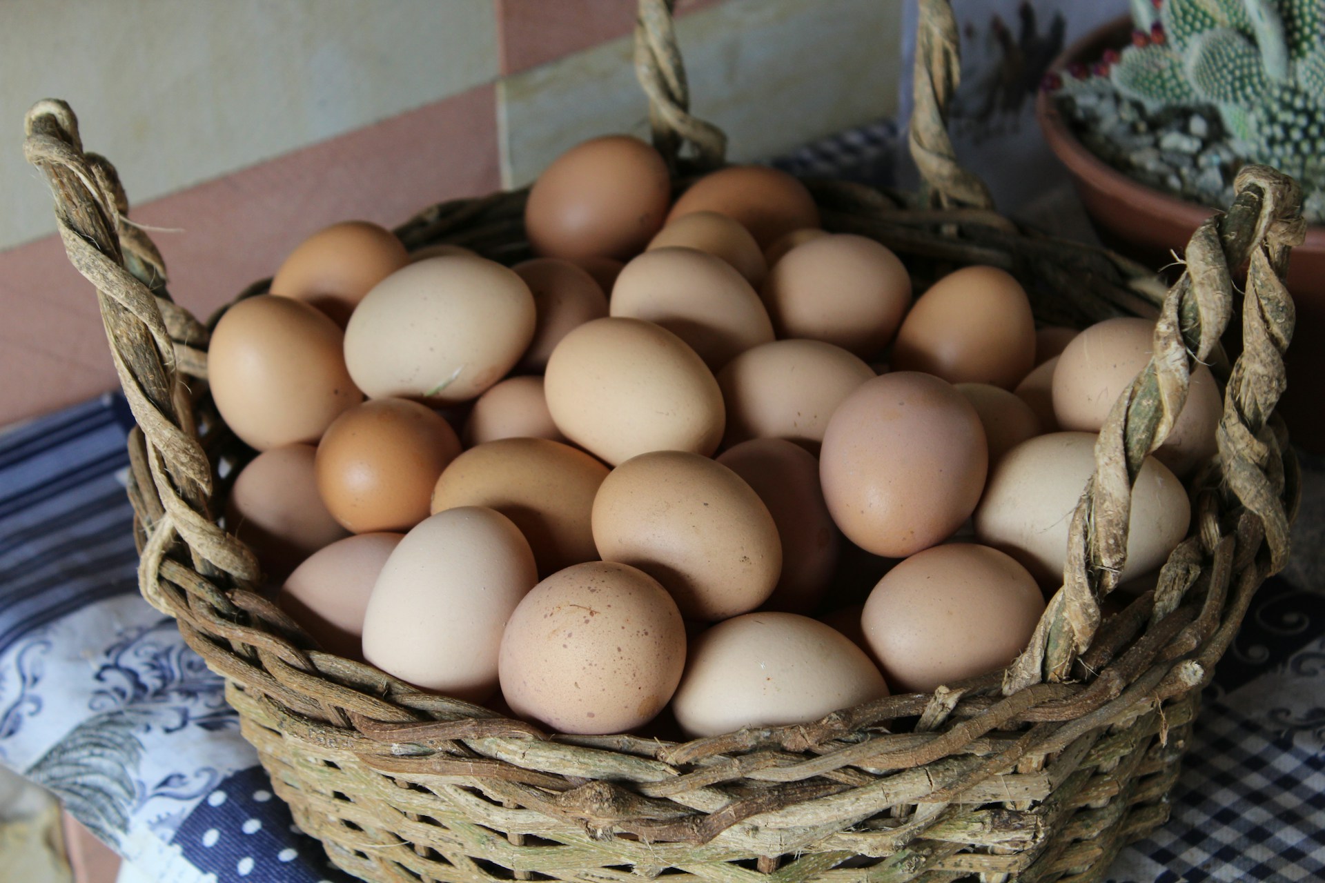eggs in a basket