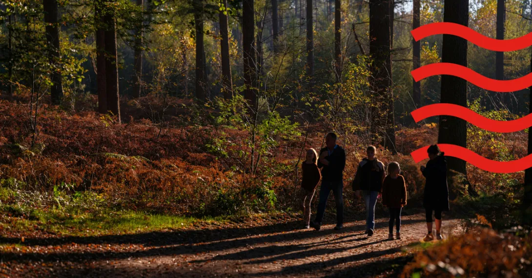 Group of people walking in a forest